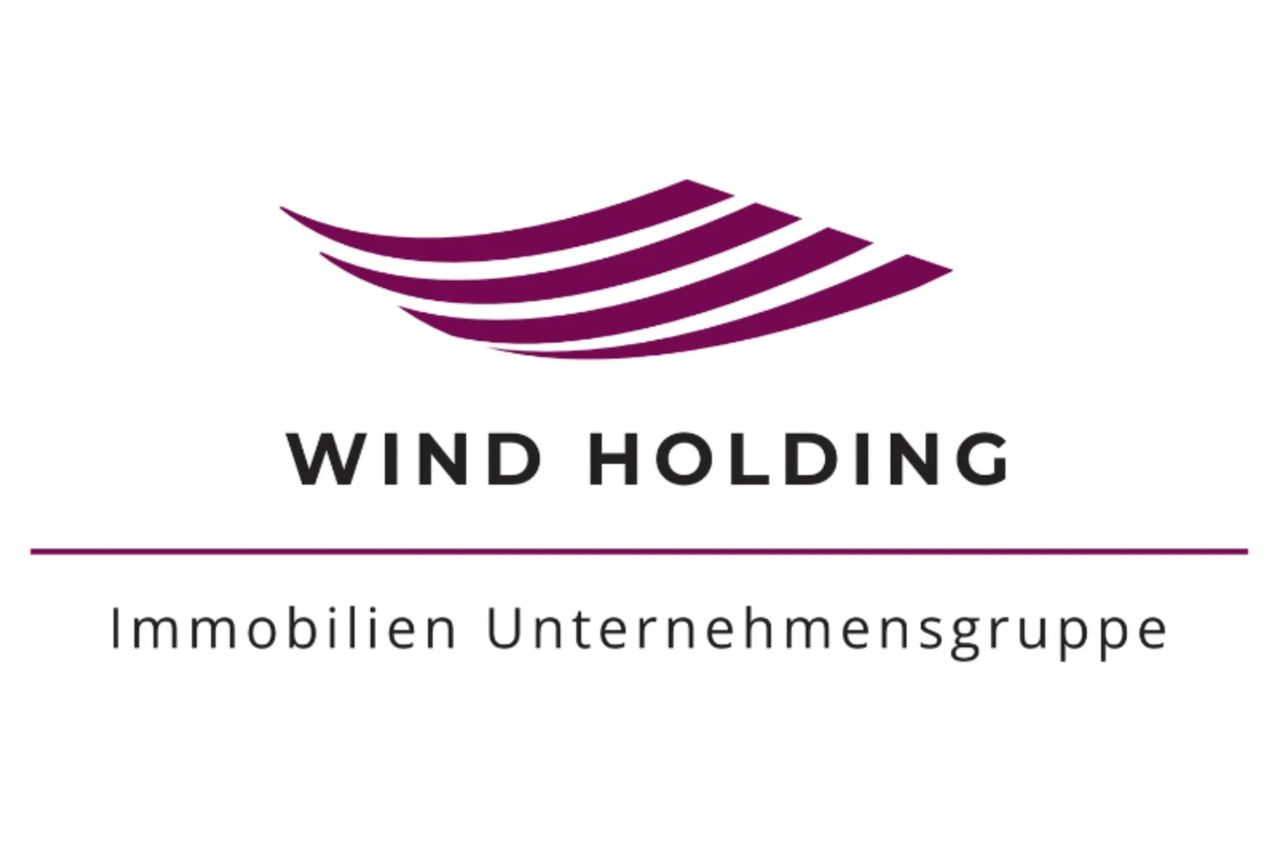 WIND HOLDING